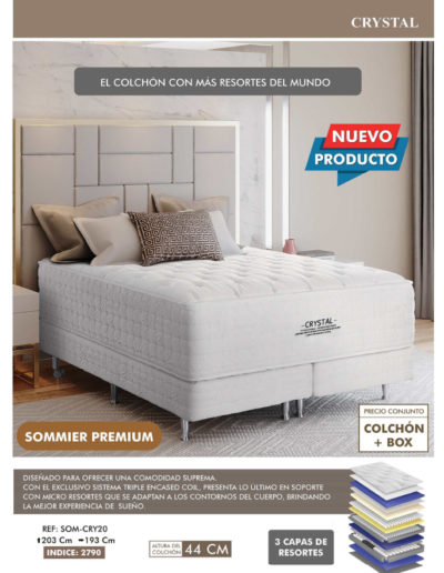 5 DE JUNIO